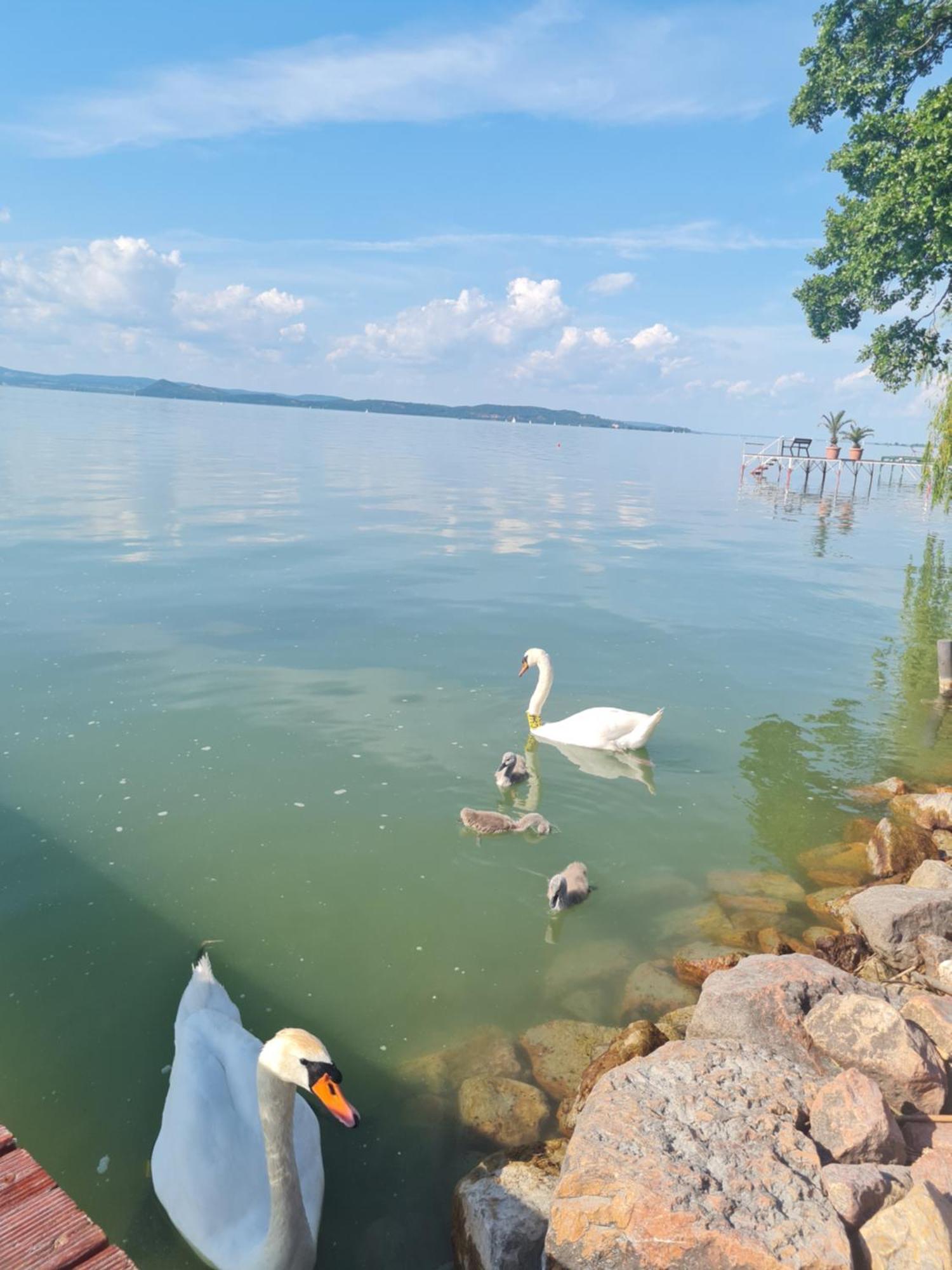 Flamingo Apartman Balatonszarszo Exteriör bild